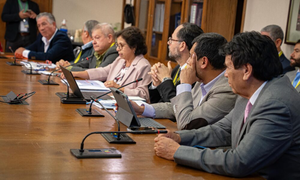 Mesa Minera Congreso