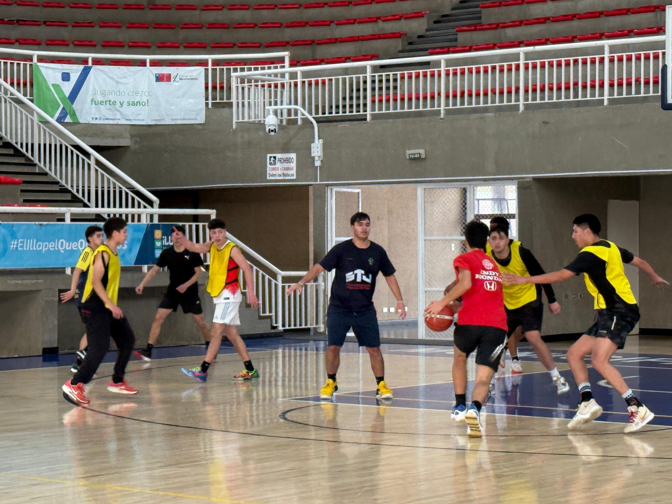 liga básquetbol
