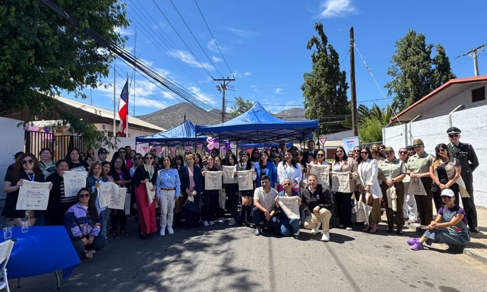 Delegación Presidencial