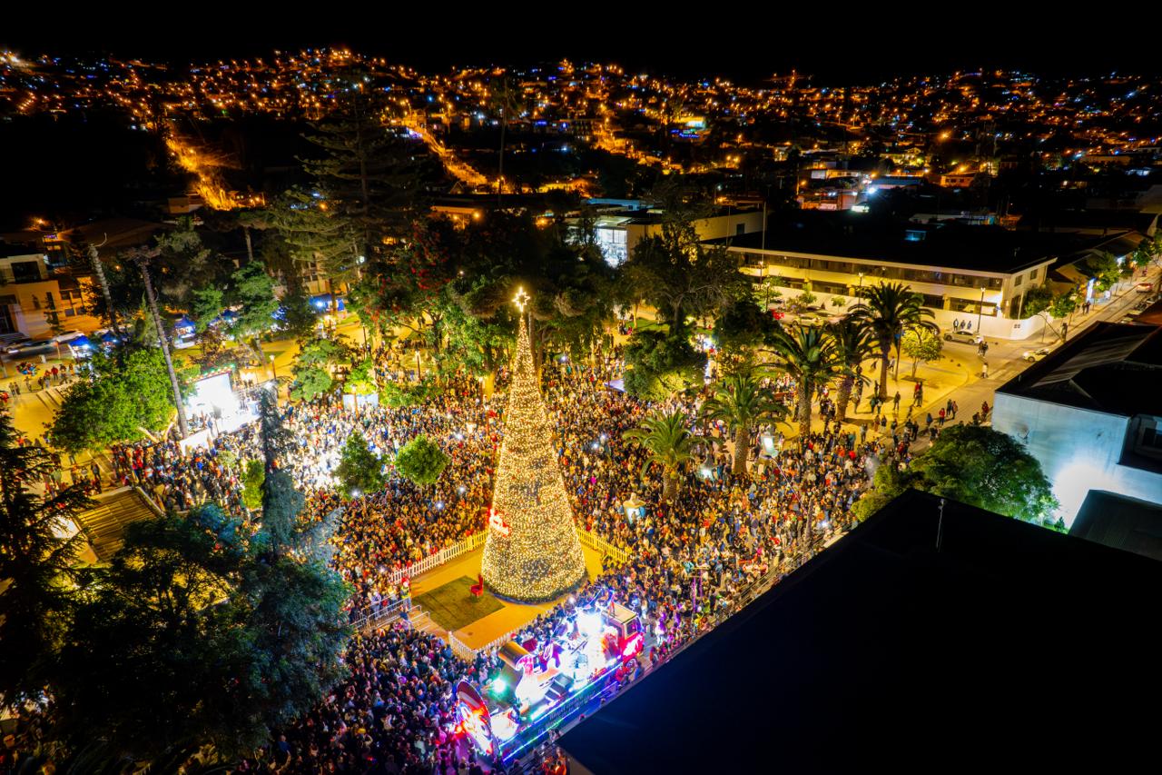 árbol de navidad